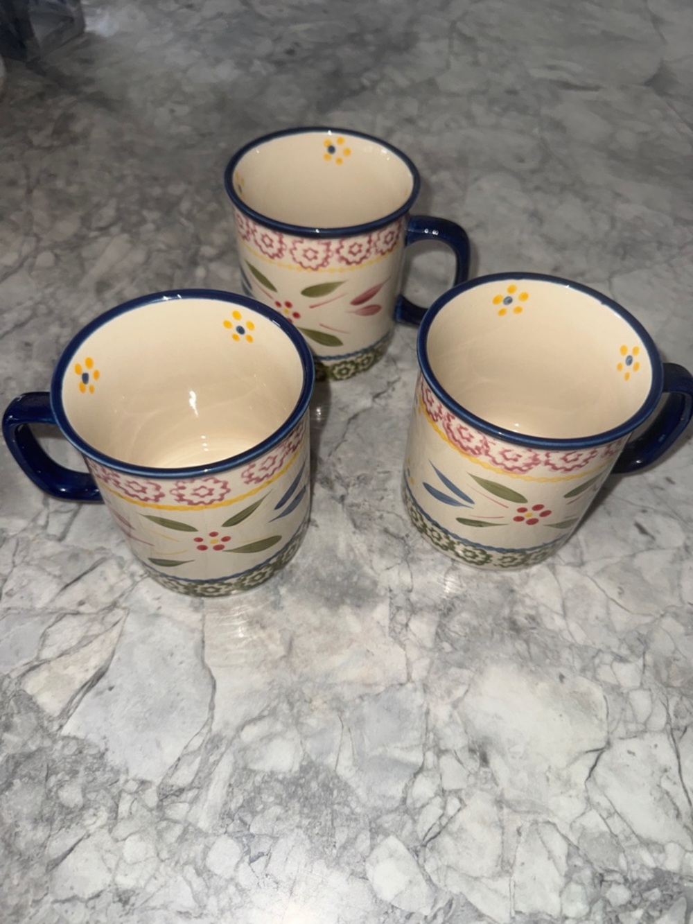 Temptations hand painted with seal Floral Ceramic Mugs with Blue Trim - Set of 3
